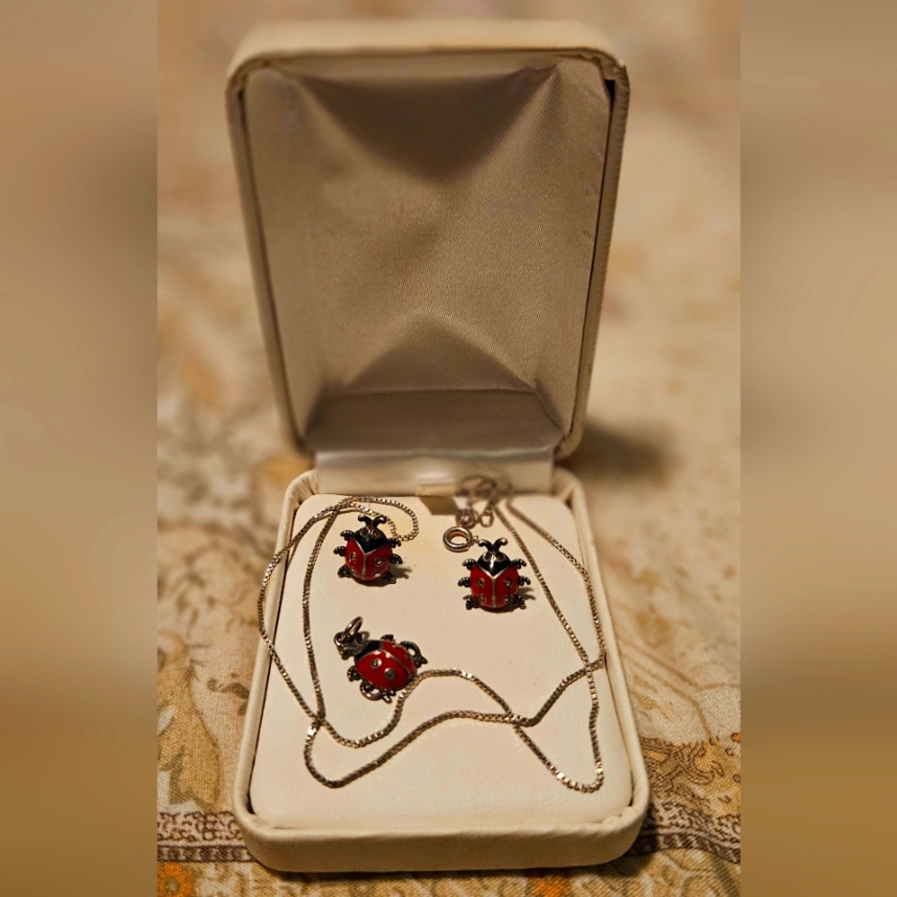 Silver Ladybug Jewelry Set